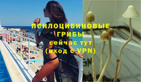 каннабис Зерноград