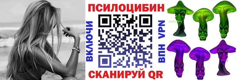 блэк спрут ССЫЛКА  цены наркотик  Кадников  Галлюциногенные грибы MAGIC MUSHROOMS 